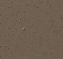 Кварцвиниловые полы Forbo Allura Colour/Colour Plus C68018-651018 faded brown фото 1 | FLOORDEALER